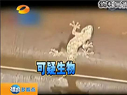 萬能的朋友圈，如果你能解釋通這組圖；凈水設(shè)備就可以不要了